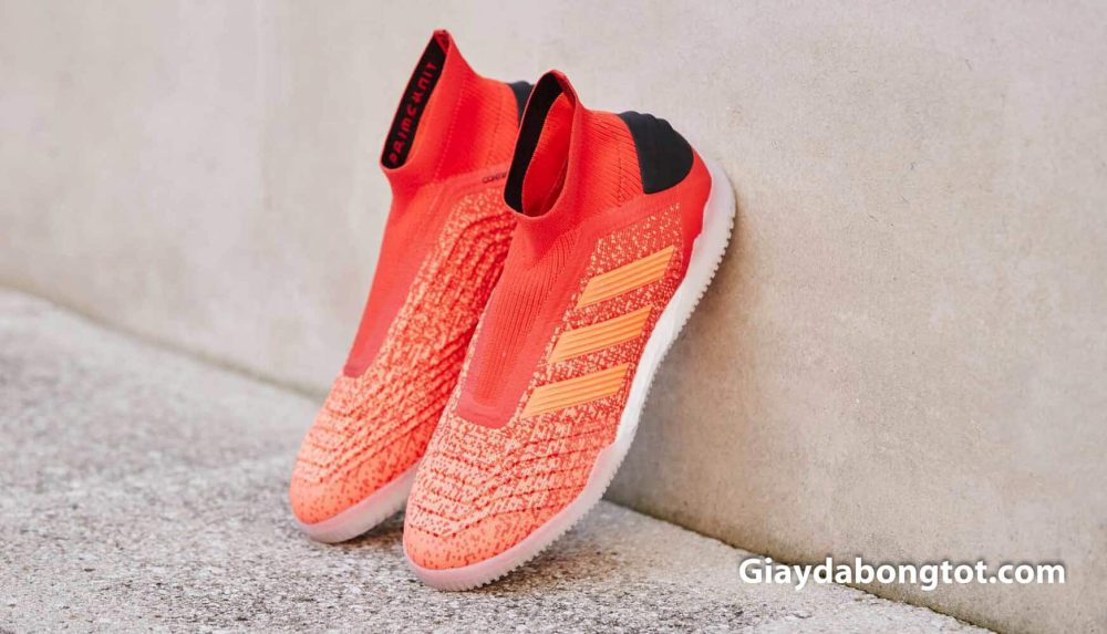 Giay da bong Adidas Predator cao co khong day
