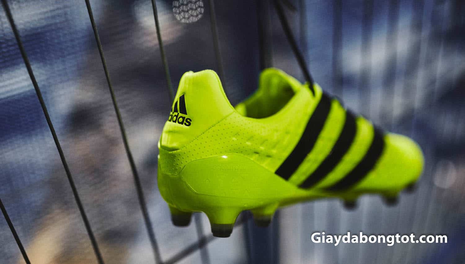 Giày đá banh Adidas ACE 16.1 FG với thiết kế đơn giản được nhiều cầu thủ Việt Nam yêu thích