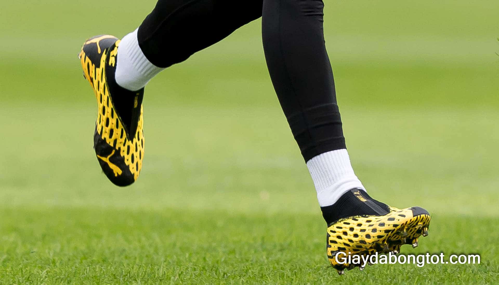 Marco Reus sử dụng giày đá bóng Puma Future Netfit mà không cần dây buộc