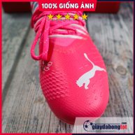 future z 1.3 fg hong xanh (6)