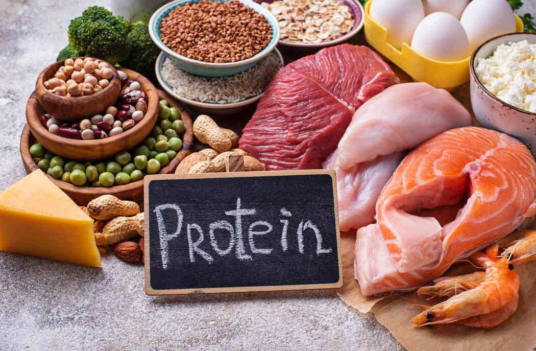 thuc pham protein